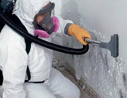 Professional Mold Removal in Crosby, ND